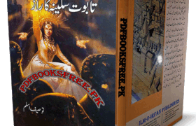 Taboot e Sakina Ka Raaz Novel by Tauseef Aslam