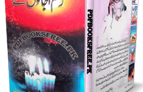 Zakham Ujalon Ke (Majmua e Haiku) by Shoaib Jazib PDF Free Download