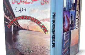 vikings-ke-des-mein-safarnama-urdu-book-cover
